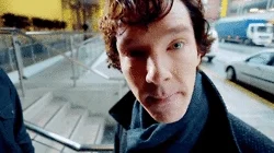 Sherlock asking for collaboration